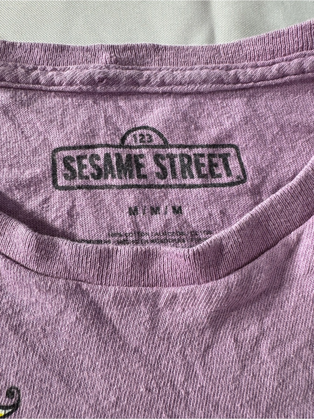 Sesame Street medium  Tee - Lavender with Multi-Color Character Print - Picture 3 of 4